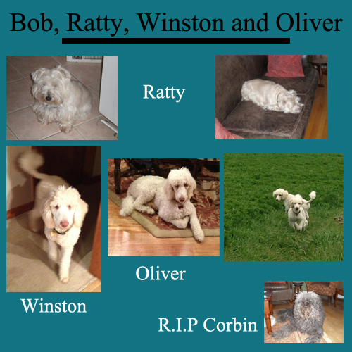 Photo of Employee Bob's Dogs