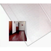 Vinyl Runner for Carpet - Sold by the Foot