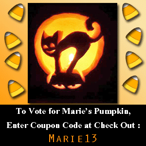 Installerstore Coupon Code