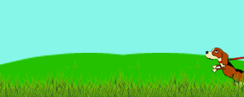 National Pet Month - Bad Dog Photo Contest