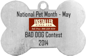 Installerstore Bad Dog Photo Contest