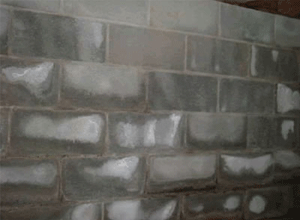 Installerstore-Efflorescence-Wall